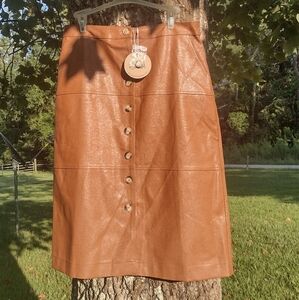 Aaron and Amber Faux Leather Skirt